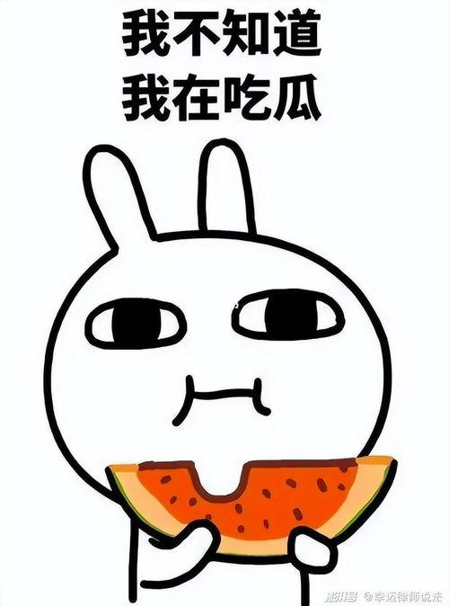 杭州今日吃瓜事件最新,揭秘网络热议背后的真相与争议